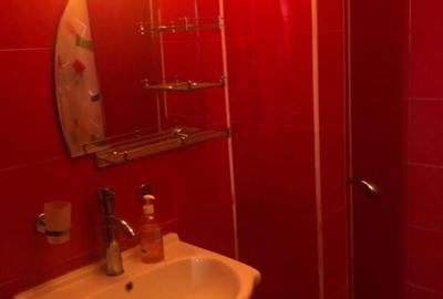 Apartament cu 6 camere în Străulești - 15