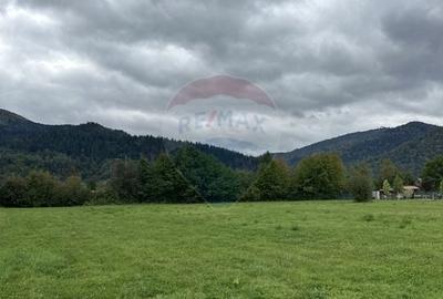 Teren Construcții intravilan de 1023 mp, în Vădurele (Alexandru cel Bun) - 3