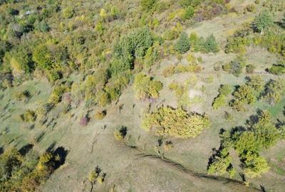 Teren extravilan, 41.631,00 mp, zona Pietrosita - 15