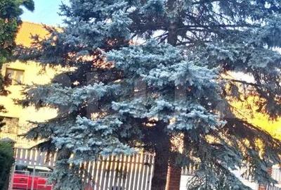 Casă cu 14 camere cu Teren 706 Mp în Soarelui - 7