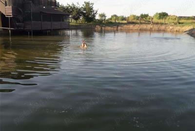 Vand 2309 mp teren 100% construibil, pt diverse afaceri - 15 km de Timisoara la soseaua principala - 18