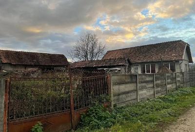 Casă cu 3 camere cu Teren 2700 Mp în Central - 5