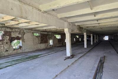 Hala , SC total 2048 MP , P+E, trifazic , teren 2000 mp, zona Borsului - 3