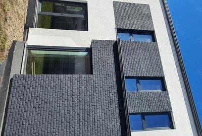 Casă cu 5 camere cu Teren 350 Mp în Dumbrăvița - 1