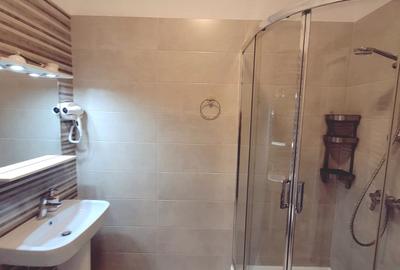 Garsonieră semidecomandată, mobilată în Central - 43