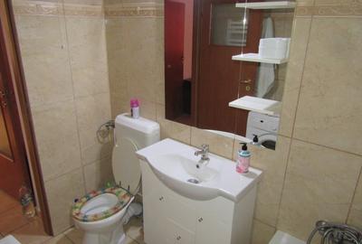 Apartament cu 2 camere semidecomandat, mobilat în Baba Novac - 20