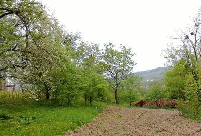 6000 mp Teren intravilan, Comuna Ion Creanga, Jud. Neamt - 5