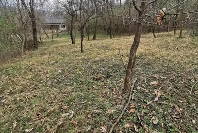 Casă cu 2 camere cu Teren 1960 Mp în Teișani - 3