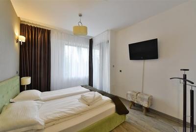 Apartament confortabil 3 cam Silver Mountain - 5