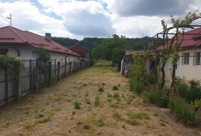 Casa vanzare Topliceni, judet Buzau - 8