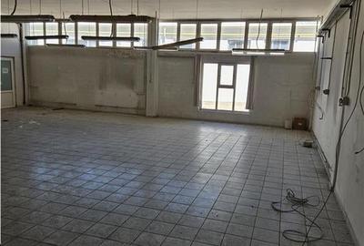 Spatiu Industrial - 3000 mp - Productie - Depozitare - Distributie - 16