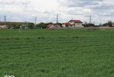 Spațiu comercial, în Balotești - 3