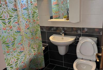 Apartament cu 2 camere semidecomandat, mobilat în Kiseleff - 10