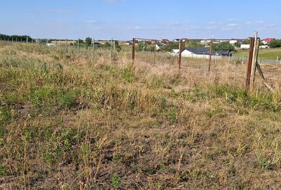 Casă cu 4 camere în Costi - 4