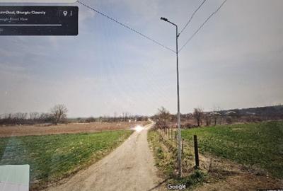 Teren de 1383 mp, în Bolintin-Deal - 4