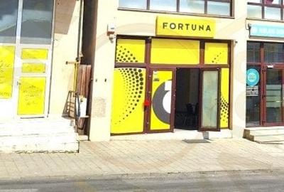 Spatiu Stradal Cu Vad Format Banat- Razboieni - 1