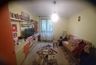 Casă cu 4 camere cu Teren 6000 Mp în Bezdead - 23