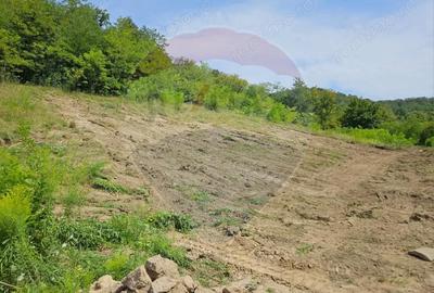 Teren de 1600 mp, în Vest