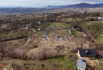 Teren de 5613 mp, în Șișești - 6