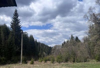 Teren de 19954 mp, în Dorna-Arini - 14