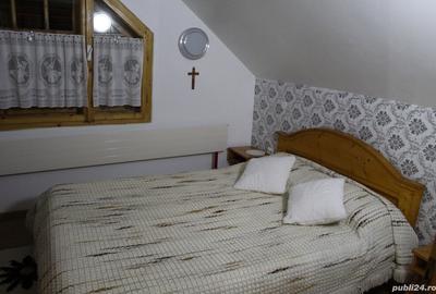 Casă cu 1 camere cu Teren 300 Mp în Ocna Șugatag - 10