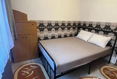 Garsonieră, mobilată în Buziașului