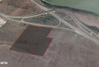 Teren de 60000 mp, în Bradu - 7