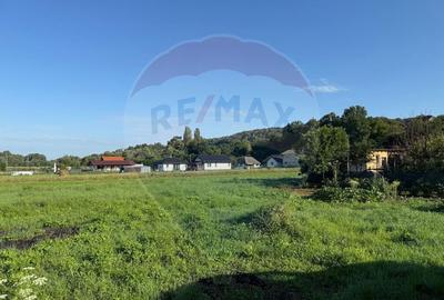Ocoli?, teren de vanzare cu propiect de casa ?i racor...