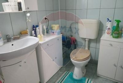 OCAZIE!!! CASA SUPERBA cu teren in JULITA jud Arad in M tii Zarandului - 32