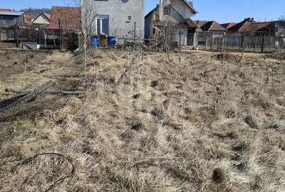 TEREN INTRAVILAN IN SIBIU - 546 mp, cu PUZ (zona Gusterita) - 4