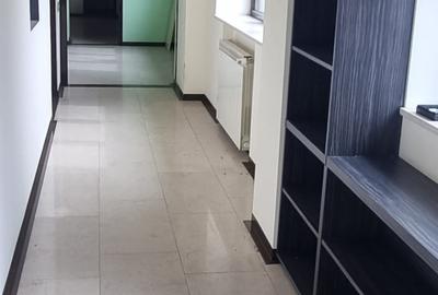 Apartament cu 4 camere semidecomandat în P-ța Victoriei - 3