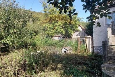 Casă cu 4 camere cu Teren 720 Mp în Central - 2