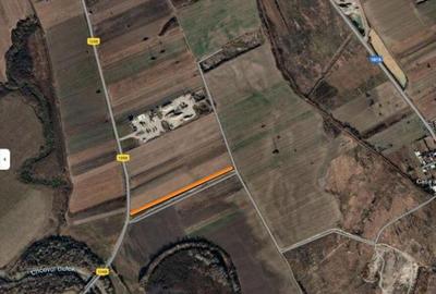 Teren Extravilan Manesti, jud. Prahova - ID: R1979552 - 15