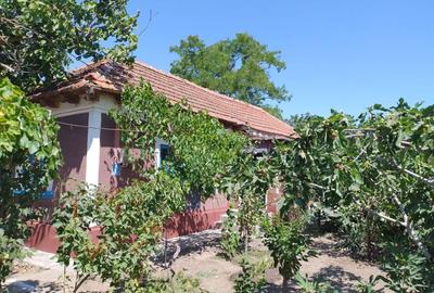 Casă cu 4 camere cu Teren 2041 Mp în Siminoc - 1