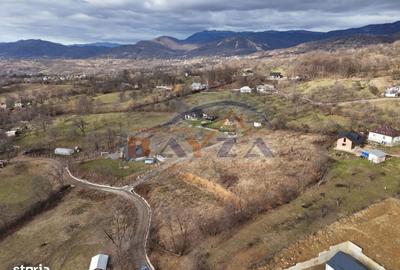 Teren de 5613 mp, în Șișești - 4