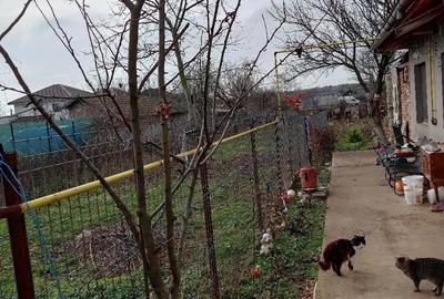 Casă cu 3 camere cu Teren 607 Mp în Limanu - 1