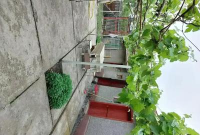 Casă cu 5 camere cu Teren 4000 Mp în Smârdan - 4