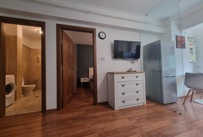 Apartament cu 2 camere semidecomandat, mobilat în Ștefan cel Mare - 10
