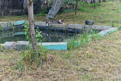 Casa de Vanzare | Zona A Ocna Mure? - 7