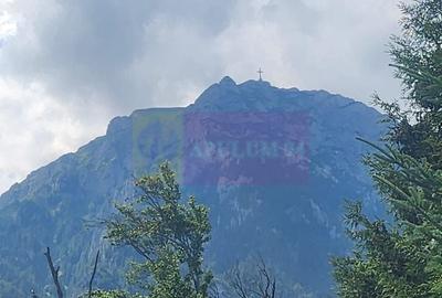 Vila de vacanta de vanzare in Busteni - Zona Zamora - 2