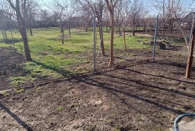 Casă cu 3 camere cu Teren 1350 Mp în Nădab - 5