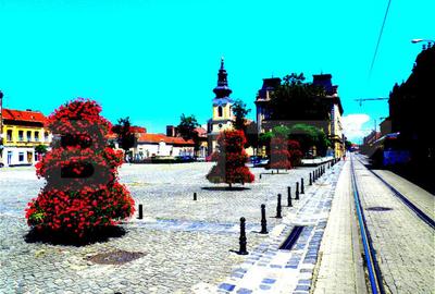 Casă cu 7 camere cu Teren 726 Mp în Traian - 2