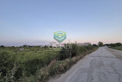 Teren  - pretabil pentru industrial - Centura -  Clinceni - 3