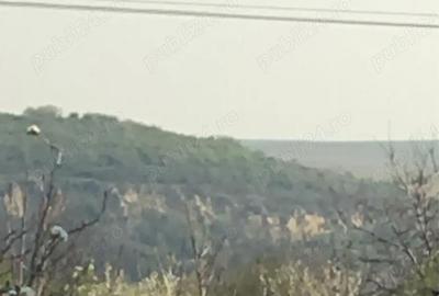 Casă cu 6 camere în Făclia - 7