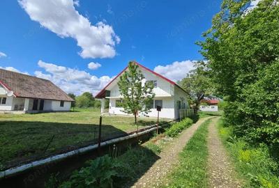 Vanzare proprietate multifunc?ionala, in Arcani, sat Sanate?ti - la DN 67 D - 3