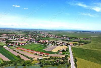 Teren intravilan 2.500 mp in Boghis | Ideal pentru casa sau pensiune | langa balta de pescuit - 4