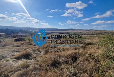 ZONA PECO- TEREN 1496 MP, IDEAL CONSTRUCTII LOCUINTE - 1