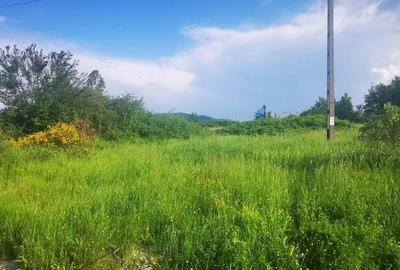 Teren intravilan 5 hectare comasat Bocsa 6 euro mp negociabil - 15