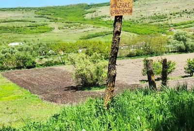 Teren de 2900 mp, în Căianu - 2