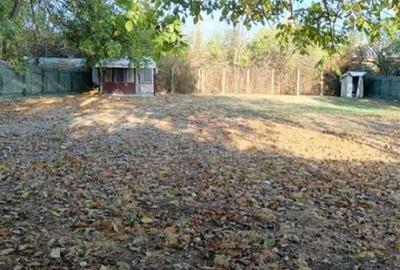 Buftea - Domeniul Stirbey - 5